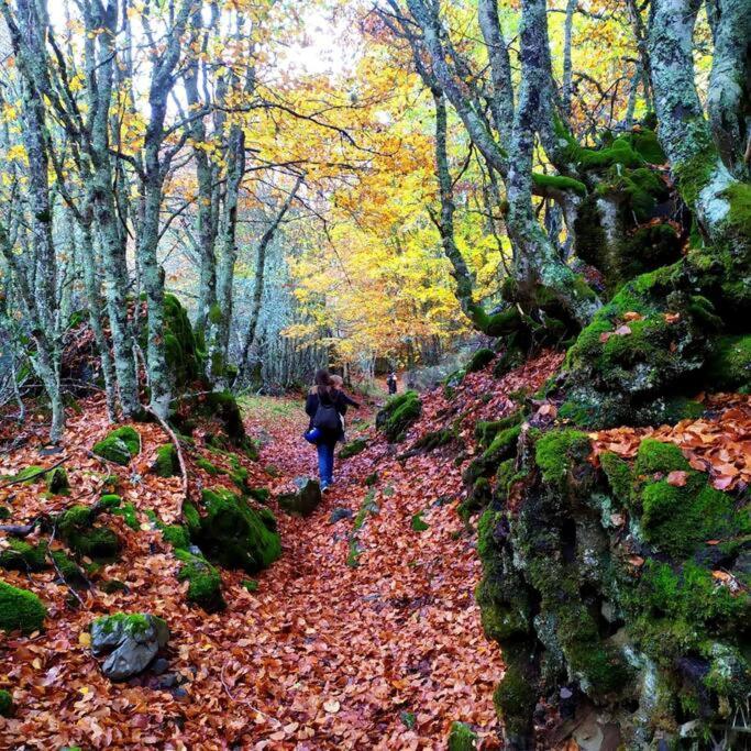 Duplex El Refugio De Porma Daire Puebla de Lillo Dış mekan fotoğraf